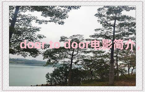 door to door电影简介，电影doors